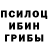 Псилоцибиновые грибы MAGIC MUSHROOMS Robot Chappi