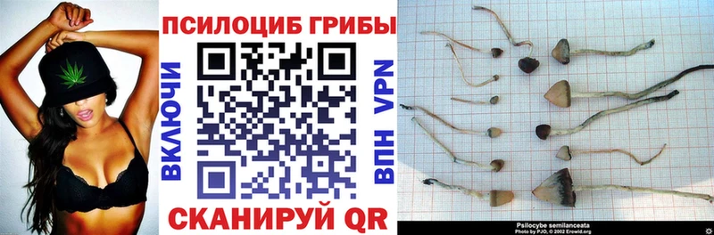 что такое наркотик  Муром  blacksprut tor  Галлюциногенные грибы мухоморы 