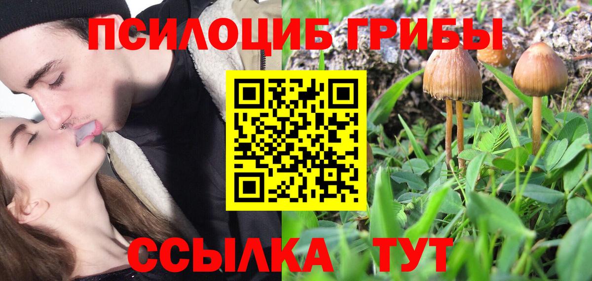 Муром  Галлюциногенные грибы мухоморы  Вход с VPN  Галлюциногенные грибы MAGIC MUSHROOMS 