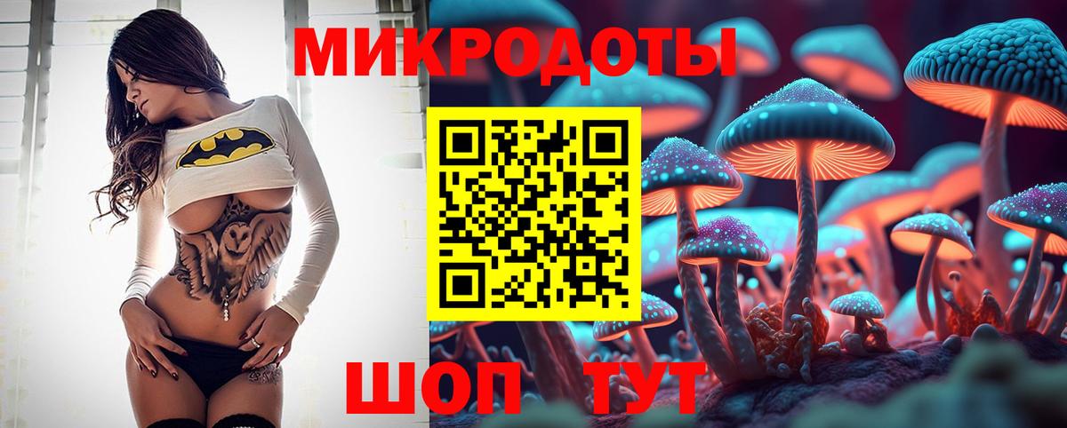 Псилоцибиновые грибы Psilocybe Муром