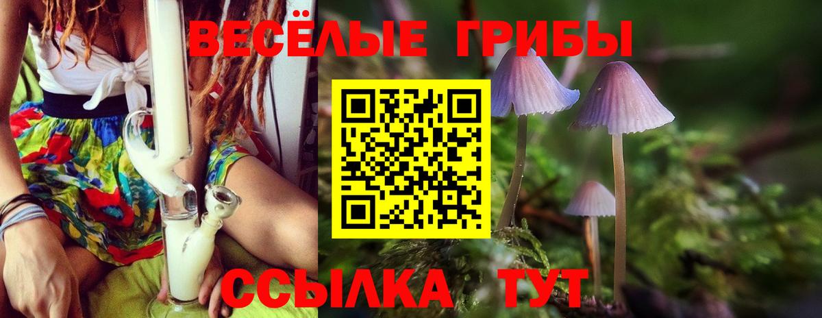 Галлюциногенные грибы Cubensis Муром